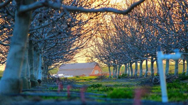 Harem Hotel screenshot 4