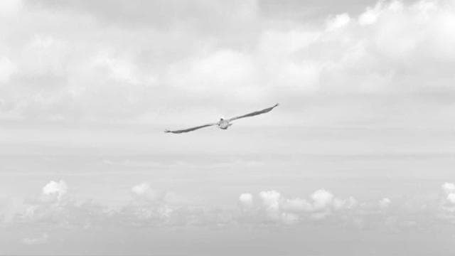 Echoes of Desire screenshot 3