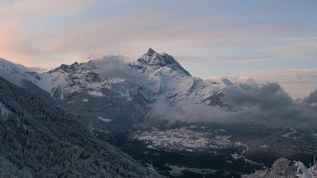 Midnight Paradise screenshot 1