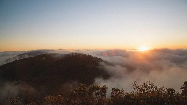 Midnight Paradise screenshot 4