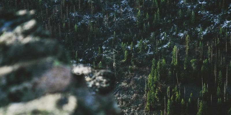 The Most Popular Game Mechanics in Adult Games (2026)