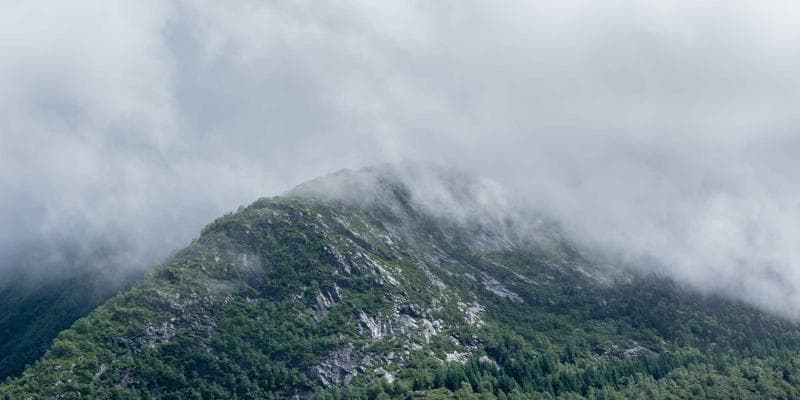 The Ultimate Guide to Ren'Py Games