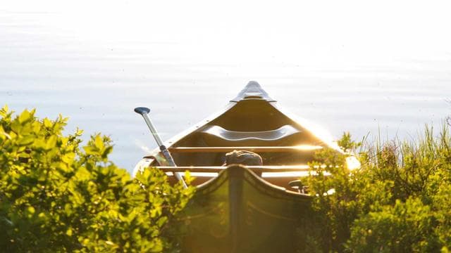 Rise of the Shadow screenshot 3