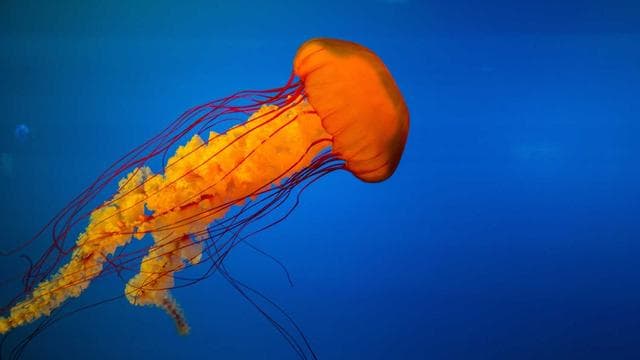 The Twist screenshot 1