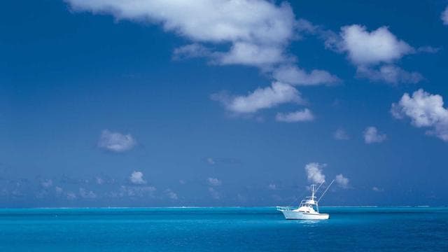 Tales of Androgyny screenshot 4