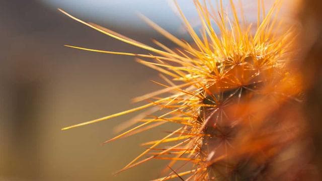 City of Broken Dreams screenshot 1