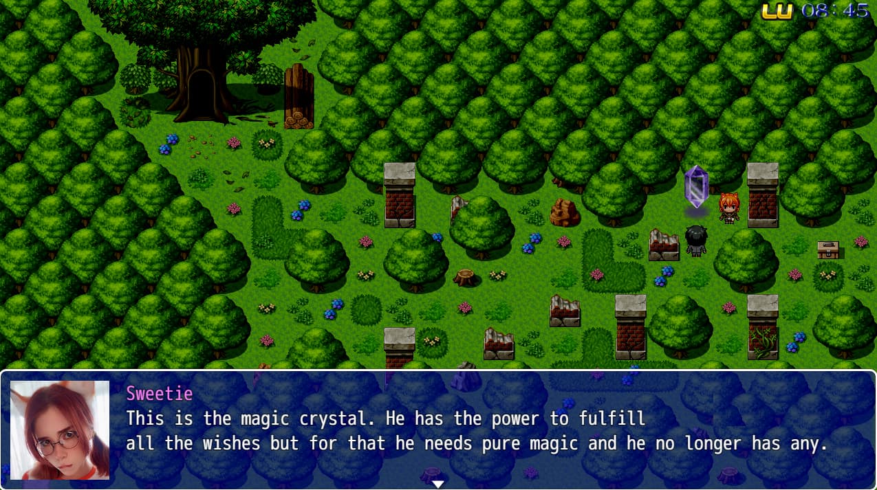 The Wish screenshot 9